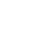 Social Icon